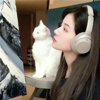 闯入者